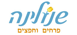 שנולינה