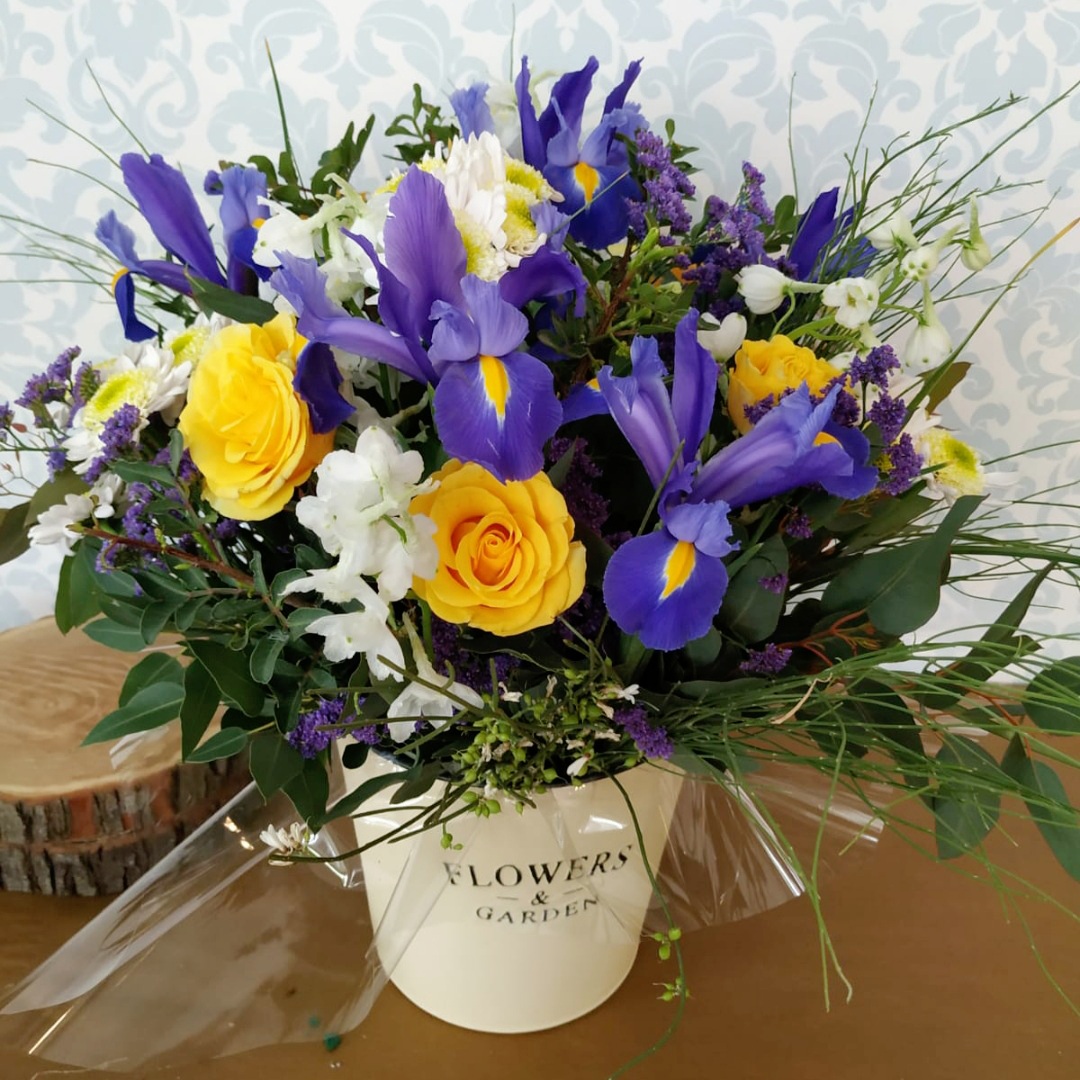 דלי פרחים flowers & garden חורפי